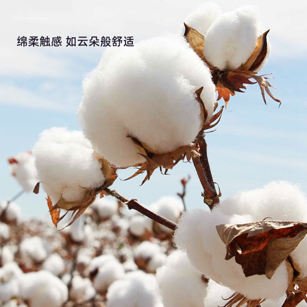 Gumowa główka 5.0/3.0/2.5mm, k – Cotton Wick Organic recenzja i cena